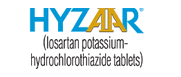 Hyzaar logo